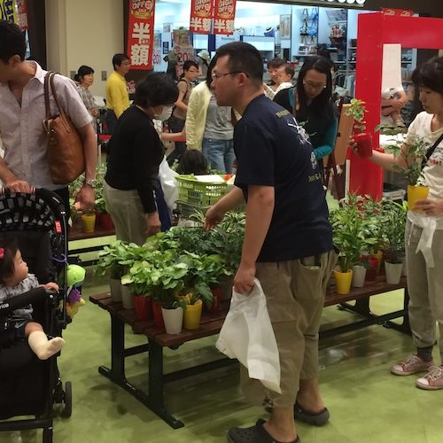 観葉植物プレゼントの実施風景 その1