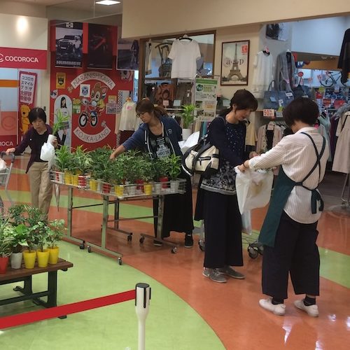観葉植物プレゼントの実施風景 その2