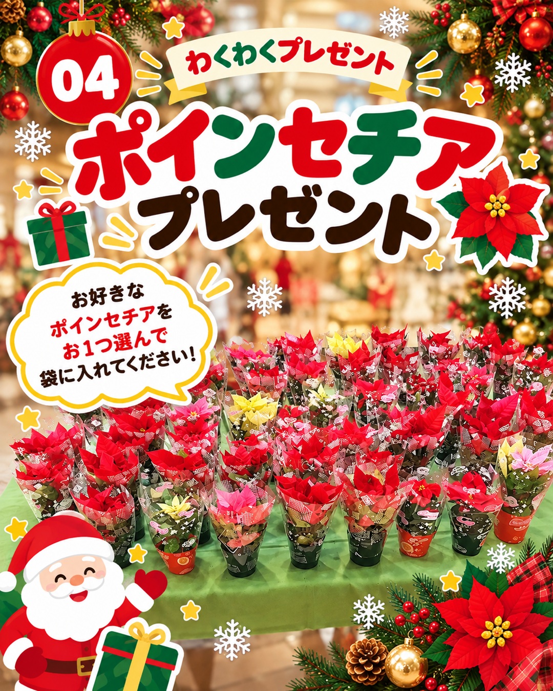 鉢植えのポインセチアをお客様に配るプレゼント企画の案内
